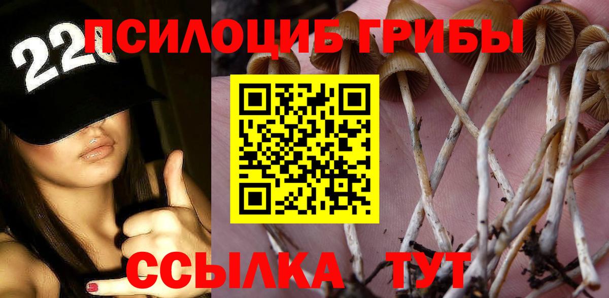 Галлюциногенные грибы прущие грибы Павлово