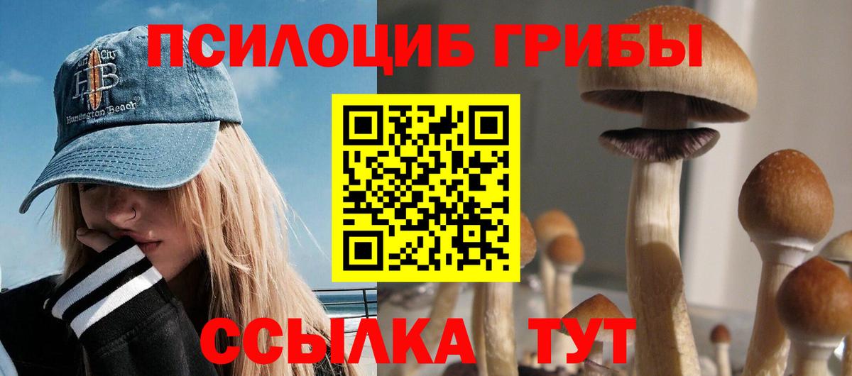 Павлово  Псилоцибиновые грибы Magic Shrooms  что такое   Вход с VPN  Галлюциногенные грибы мицелий 