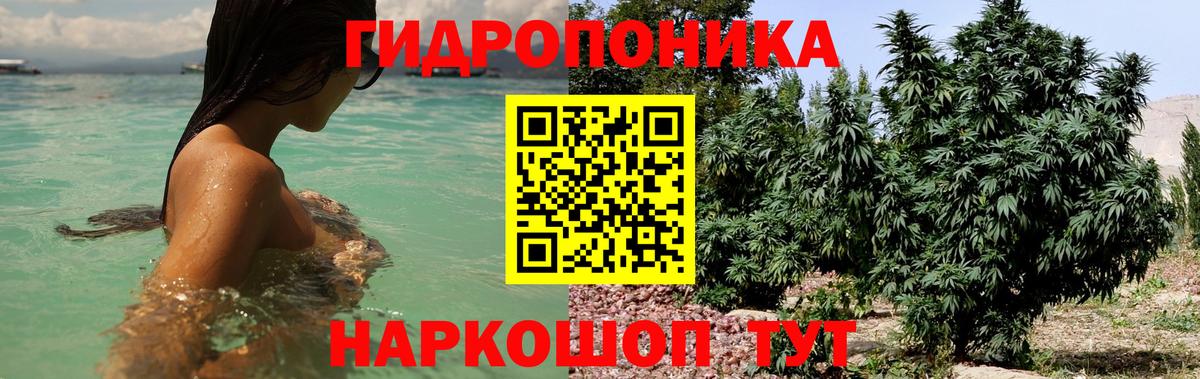 Канабис MAZAR  Конопля MAZAR  Вход с VPN  Бошки марихуана LSD WEED  Павлово  Шишки марихуана AK-47 